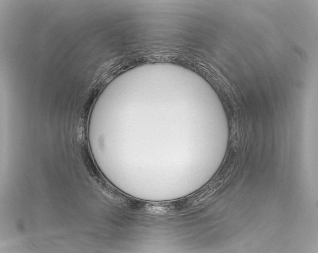 X0000116130706200911230951