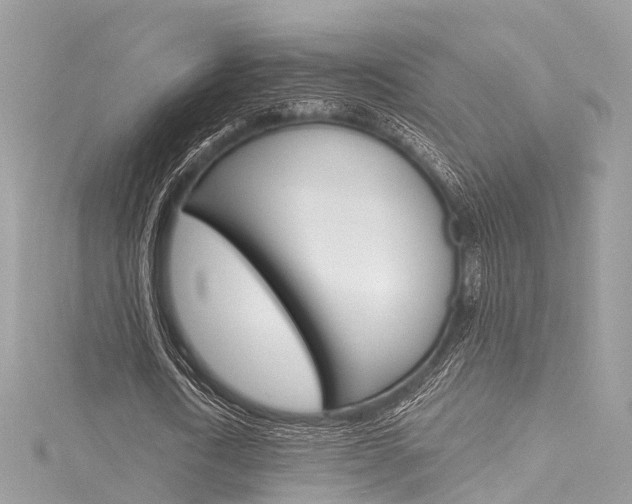 X0000116130722200911230951
