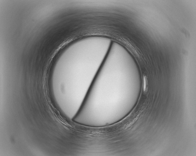 X0000116130723200911230951