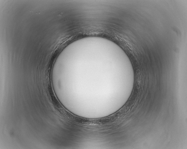 X0000116130743200911230951