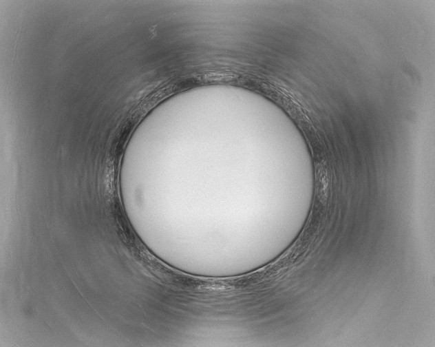 X0000116130745200911230951