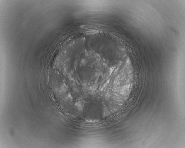 X0000116130753200911230951