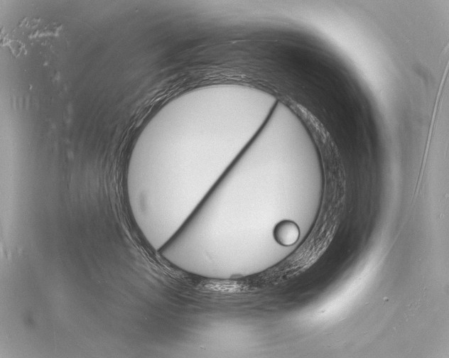 X0000116130767200911230951