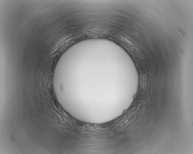 X0000116130774200911230951
