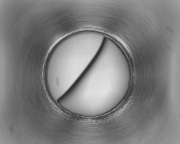 X0000116130783200911230950