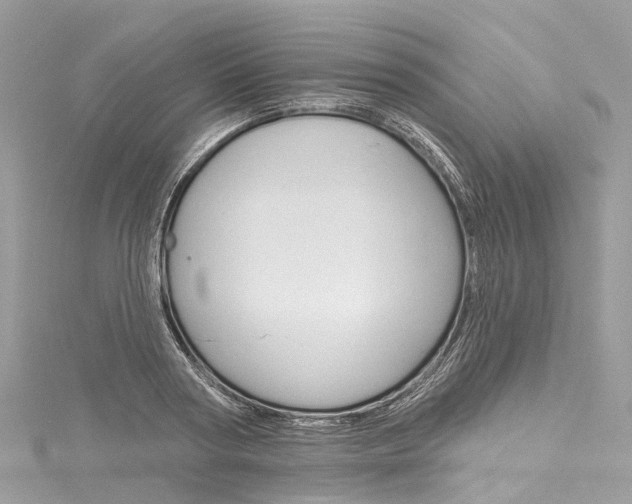 X0000116130794200911230950