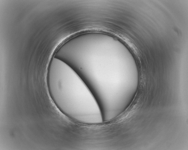 X0000116130799200911230950