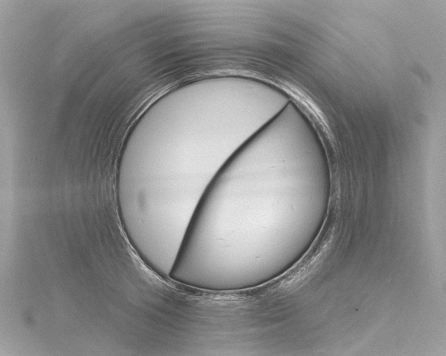 X0000116130801200911230950