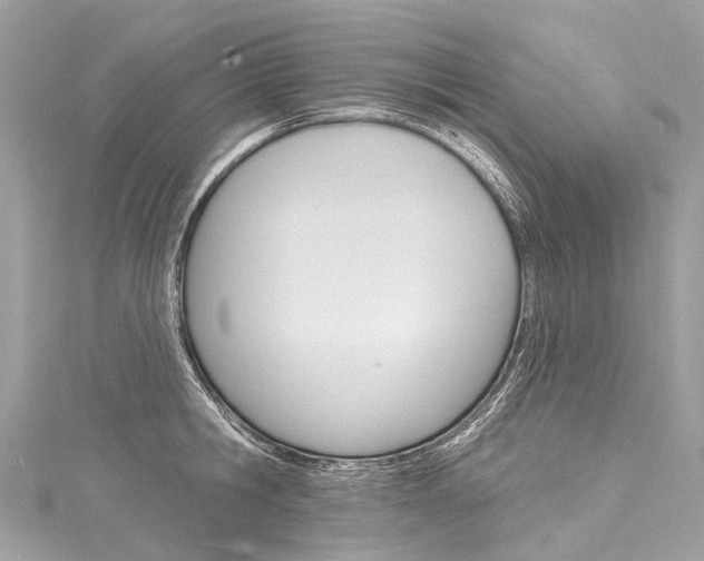 X0000116130806200911230950