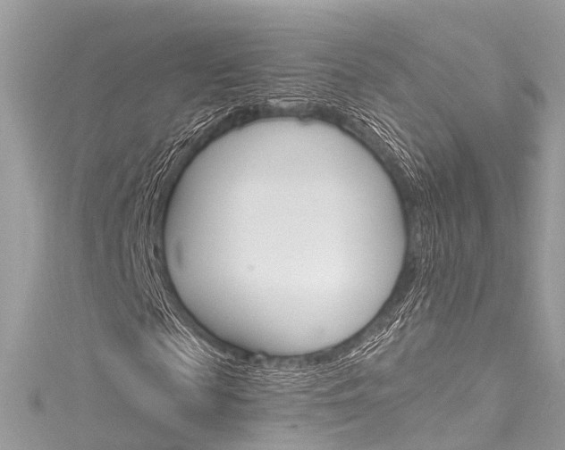 X0000116130817200911230949