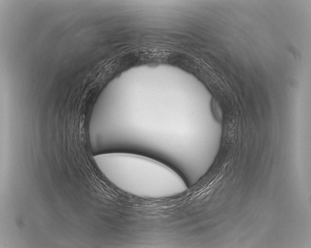 X0000116130818200911230949