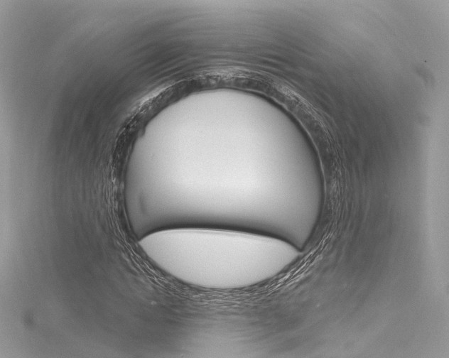 X0000116130822200911230949