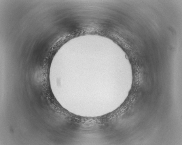 X0000116130824200911230949