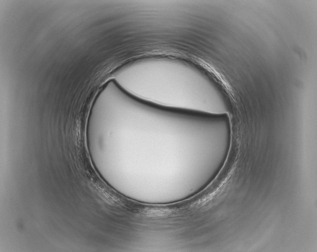 X0000116130825200911230949