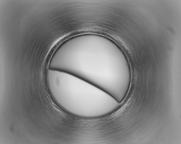 X0000116130830200911230950