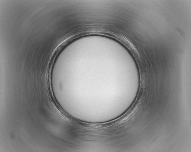 X0000116130831200911230950