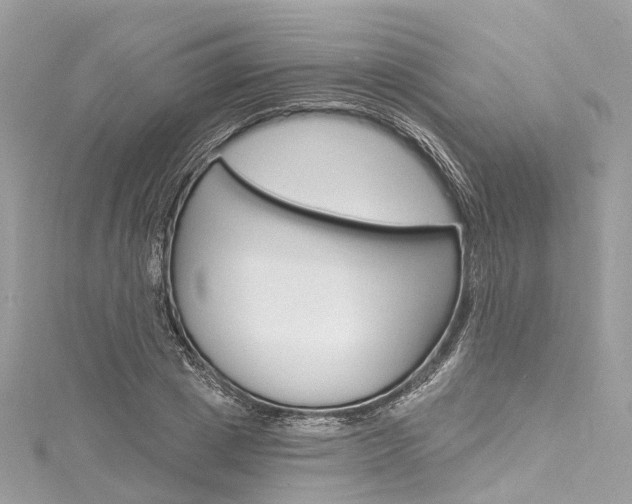 X0000116130833200911230950