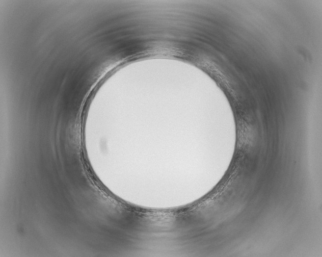 X0000116130836200911230950