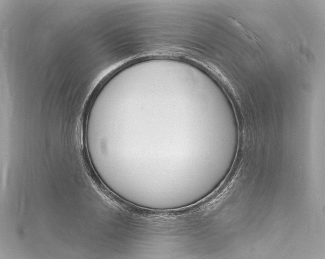 X0000116130838200911230950