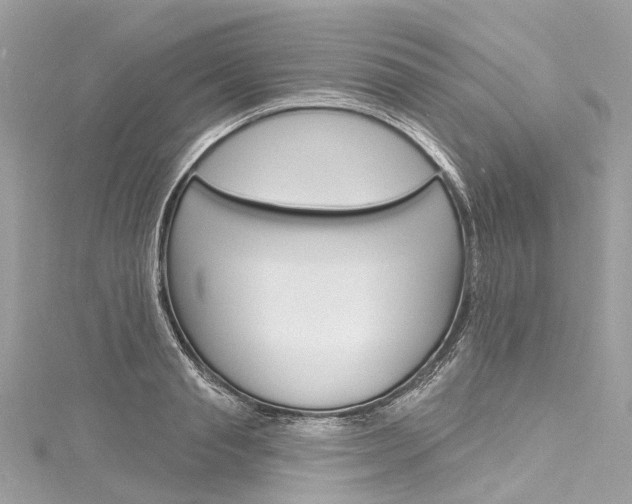 X0000116130845200911230950