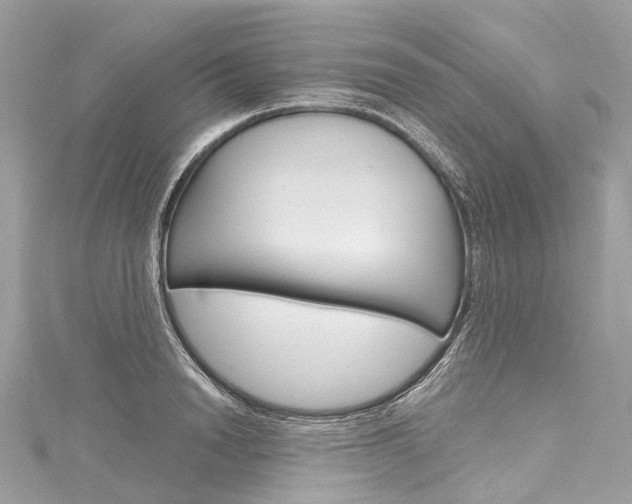 X0000116130846200911230950