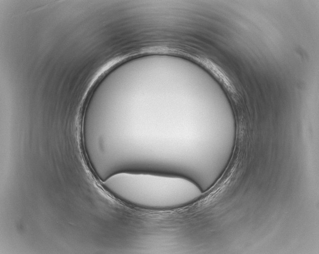 X0000116130854200911230950