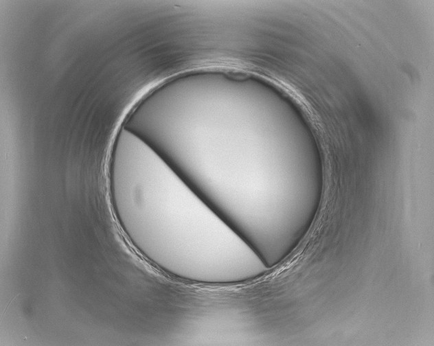 X0000116130864200911230950