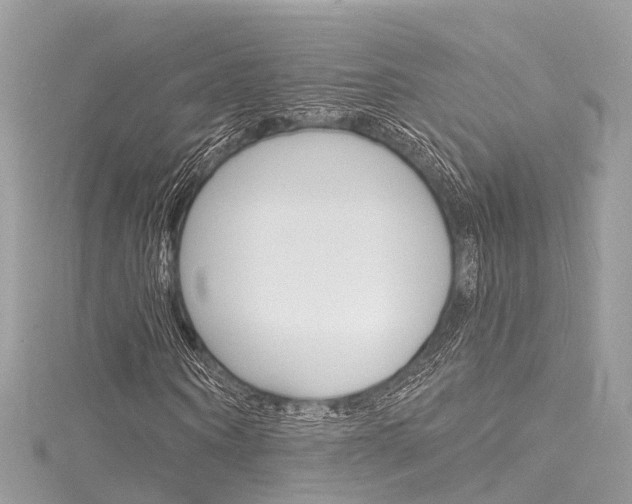 X0000116130866200911230949