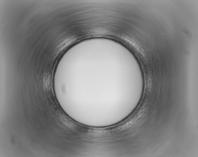X0000116130873200911230949