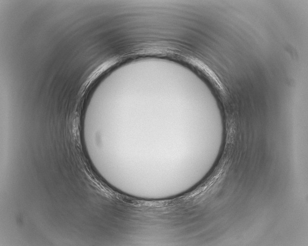 X0000116130874200911230949
