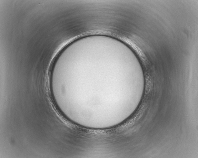 X0000116130886200911230949