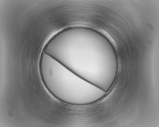 X0000116130901200911230949