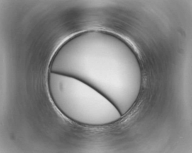 X0000116130903200911230949