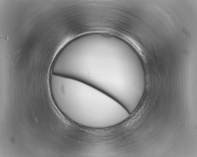 X0000116130907200911230949