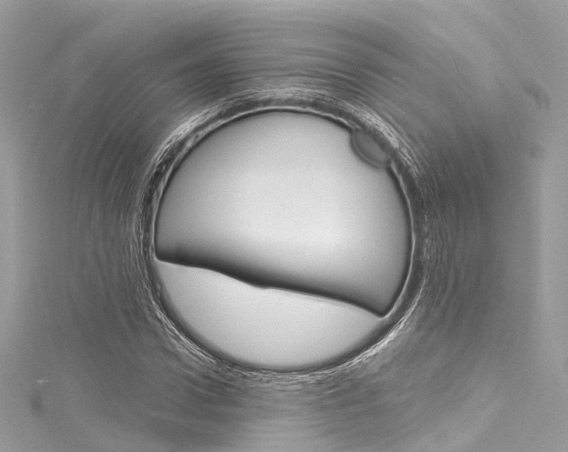 X0000116130922200911230948