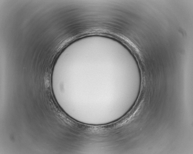 X0000116130929200911230948