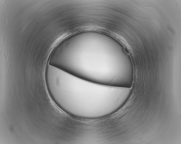 X0000116130946200911230948