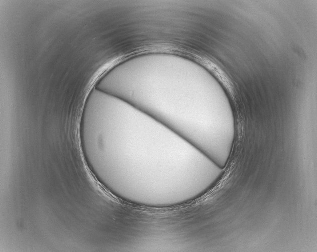X0000116130954200911230949