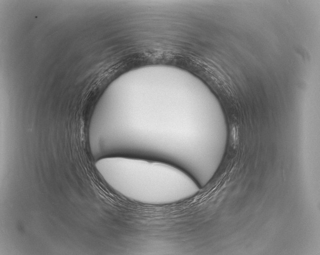 X0000116130963200911230948