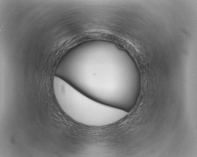 X0000116130965200911230948