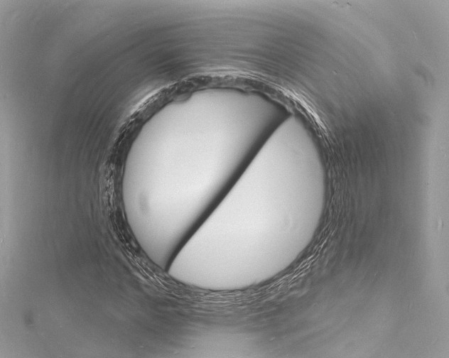 X0000116130968200911230948