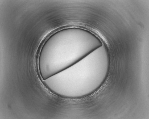 X0000116130972200911230948