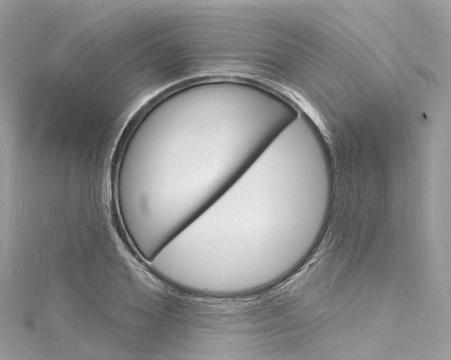 X0000116130980200911230948
