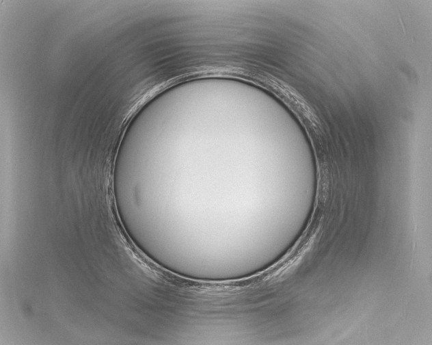 X0000116130985200911230948