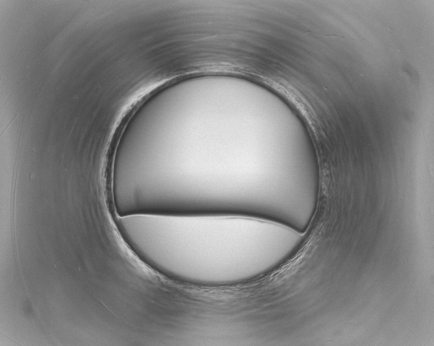 X0000116130995200911230948