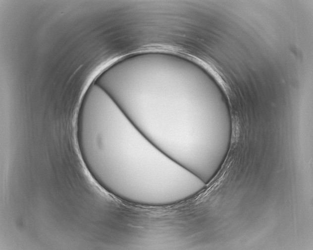 X0000116131003200911230947