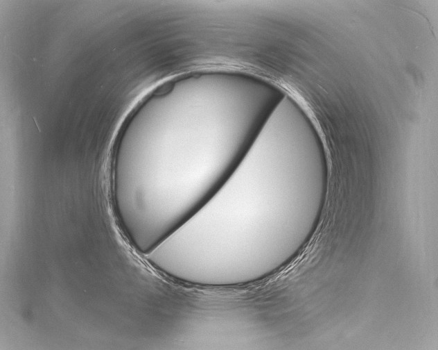 X0000116131008200911230947