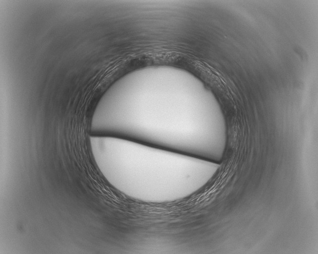 X0000116131010200911230947