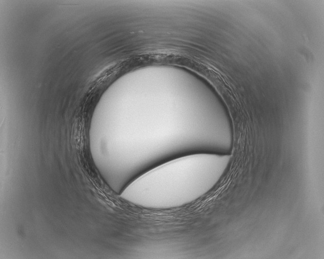 X0000116131014200911230947