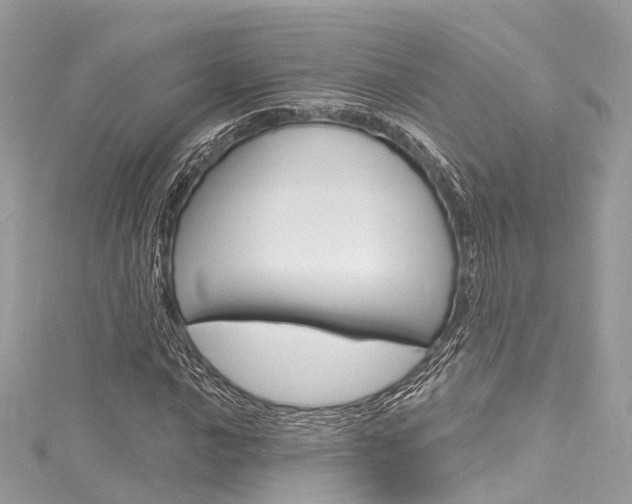 X0000116131016200911230947